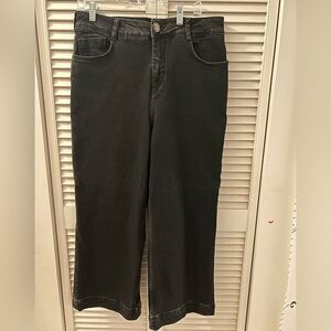 Anthropologie Pilcro Black Colette Wide Leg Jeans - 31